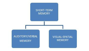 Cognitive Psychology In UX - Short-term memory