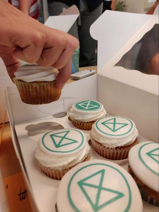 User interview treats, the cupcakes