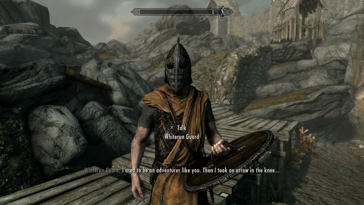 A screenshot of the game 'The Elder Scrolls V: Skyrim' showing a character with the famous quote: "I used to be an adventurer like you. Then I took an arrow in the knee..."