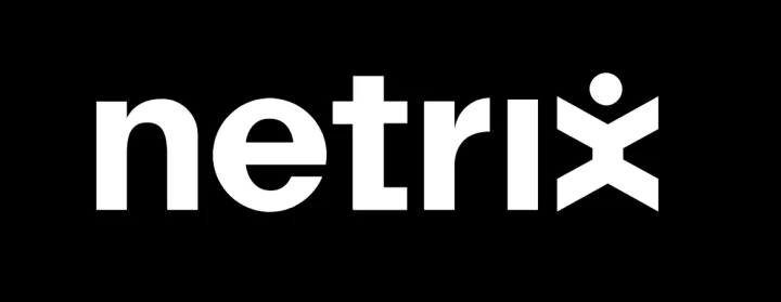 Netrix Digital's, a web design company, logo.
