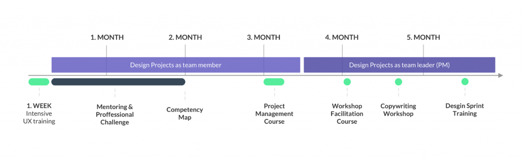 internal traning system timeline  UX  Studio